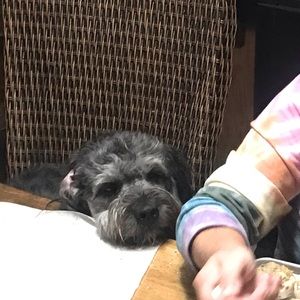 Meet your Posher, Visha